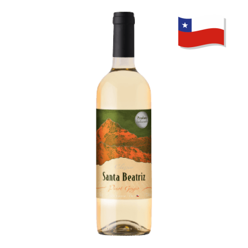 Vimho Branco Chileno Clássico Pinot Grigio