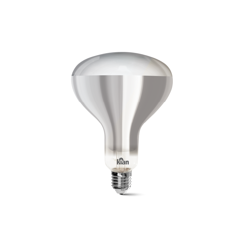 Incandescente Especial  e Refletora