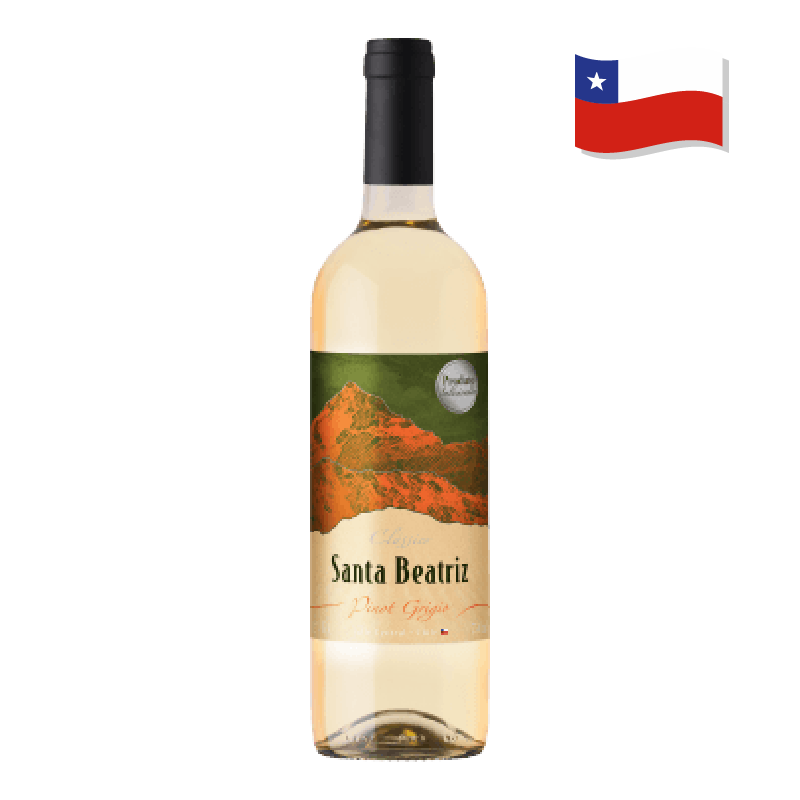 Vimho Branco Chileno Clássico Pinot Grigio